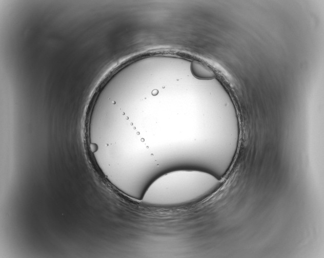 X0000094371279200711020746