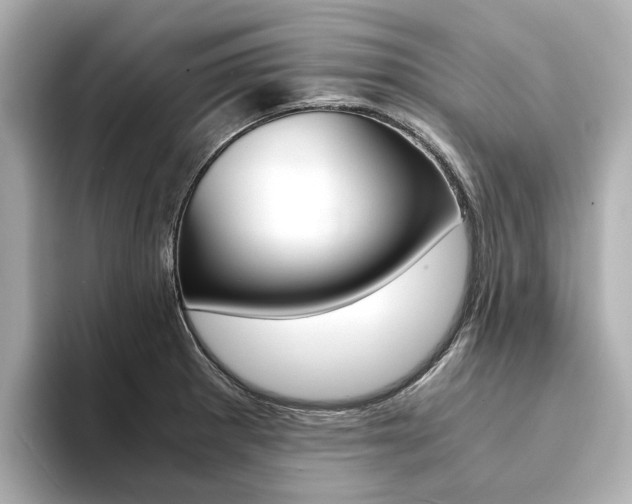 X0000094371281200711020746