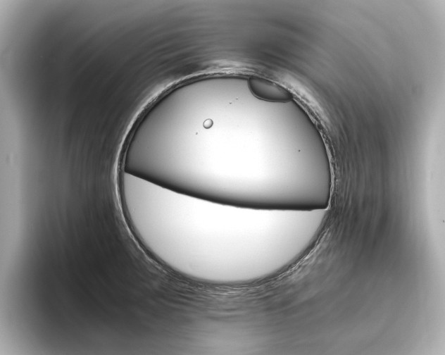 X0000094371283200711020746
