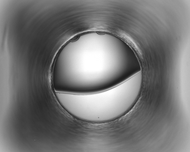 X0000094371284200711020746