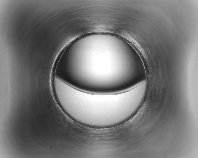 X0000094371285200711020746