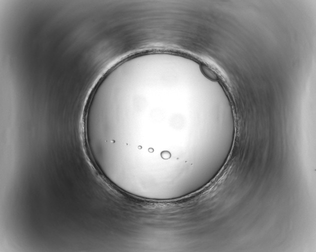 X0000094371287200711020746