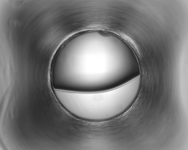 X0000094371288200711020746
