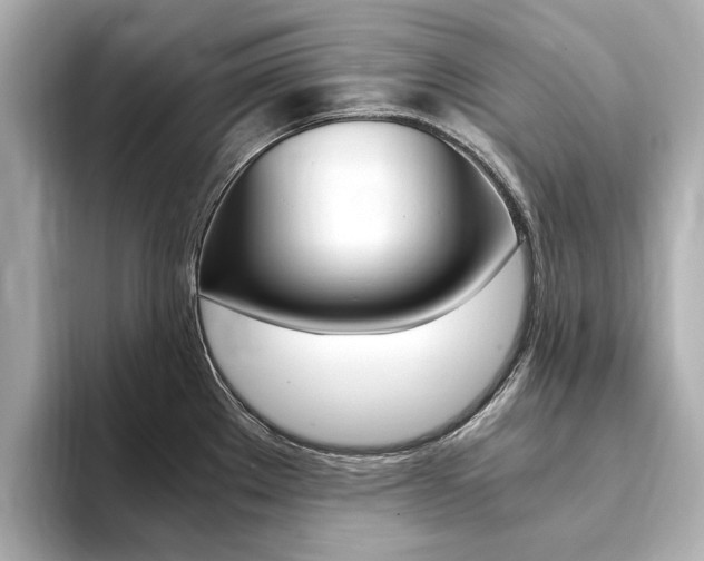 X0000094371289200711020746