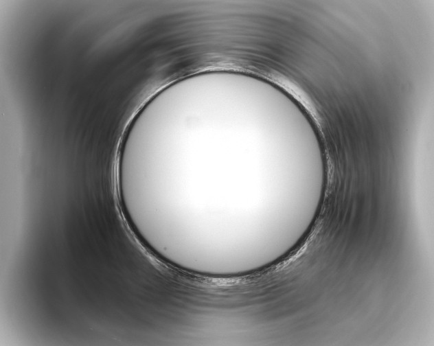X0000094371290200711020746
