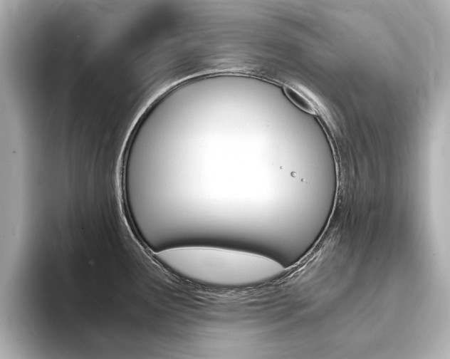 X0000094371291200711020746