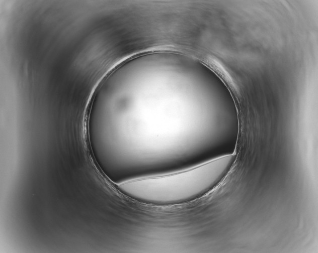 X0000094371292200711020746