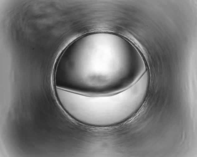 X0000094371293200711020746