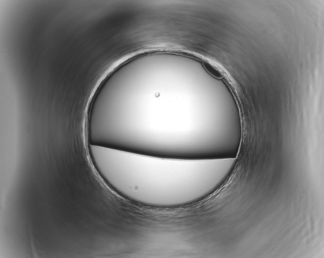 X0000094371295200711020746