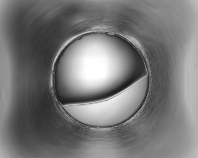 X0000094371296200711020746
