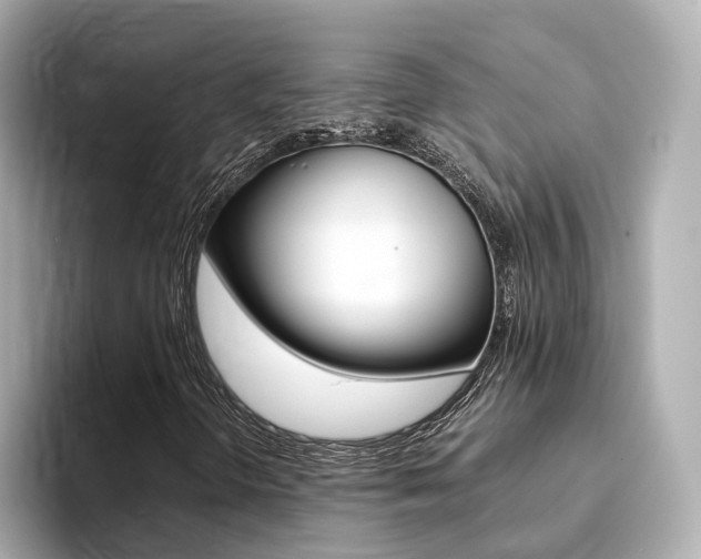 X0000094371298200711020745