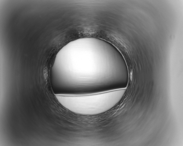 X0000094371299200711020745