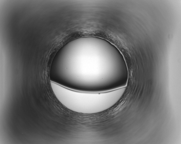 X0000094371300200711020745