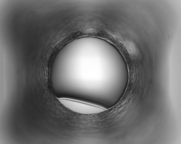 X0000094371301200711020745