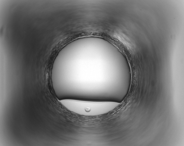 X0000094371302200711020745