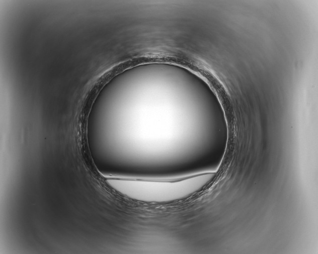 X0000094371304200711020745