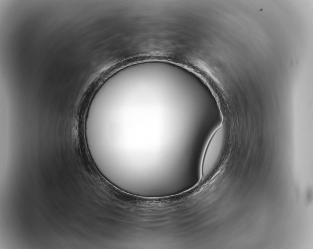 X0000094371307200711020745