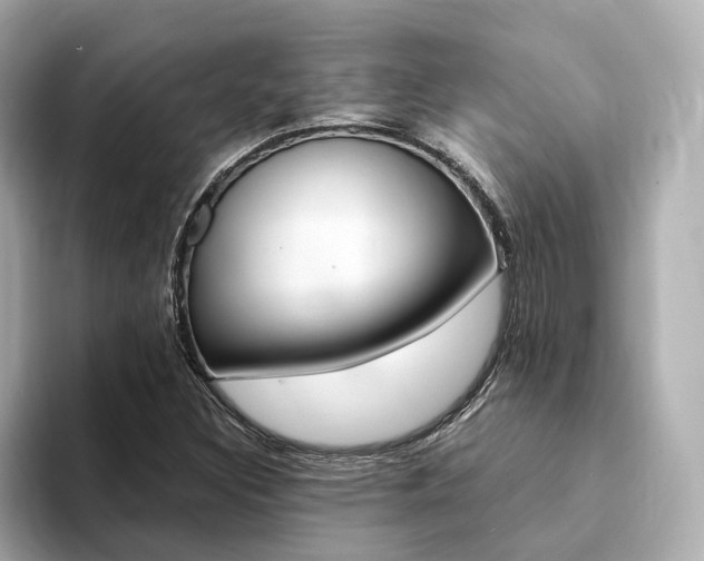X0000094371308200711020745