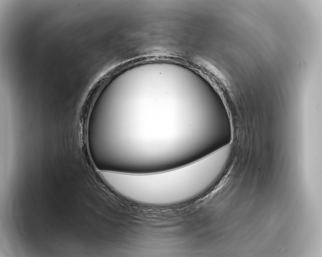 X0000094371310200711020745