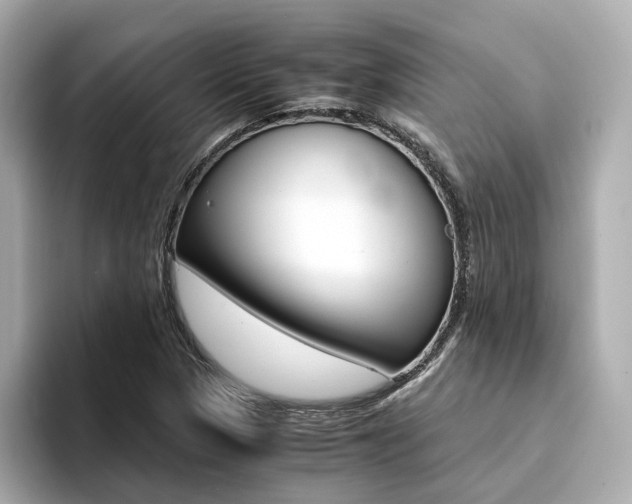 X0000094371313200711020745