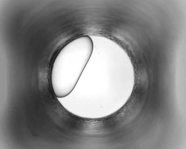 X0000094371314200711020745