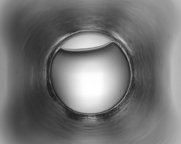 X0000094371315200711020745