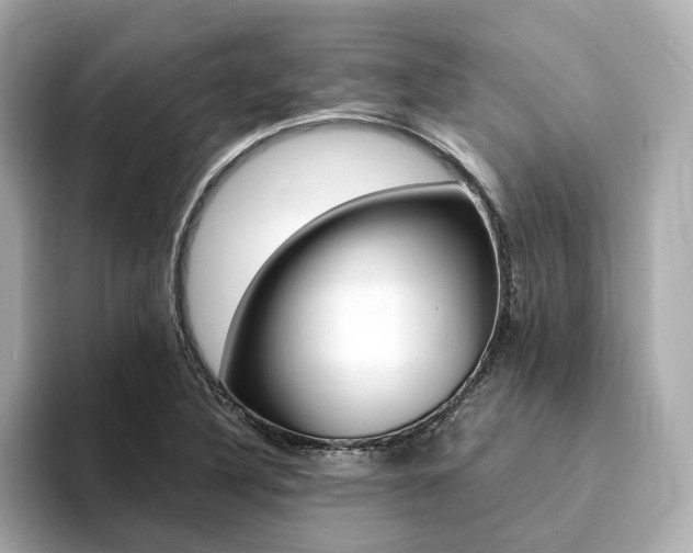 X0000094371316200711020745
