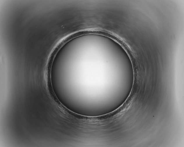 X0000094371319200711020745