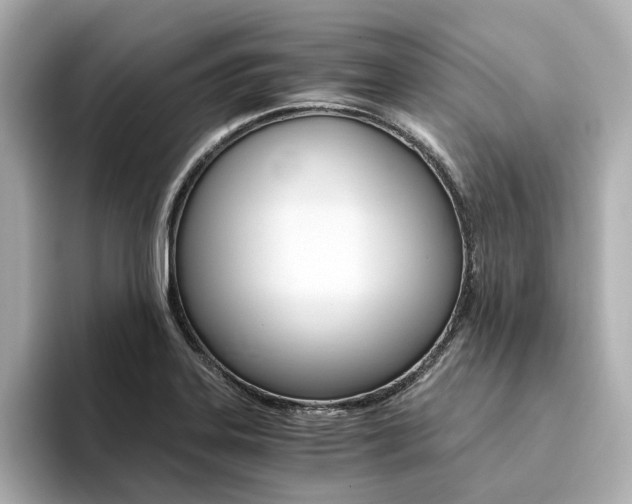 X0000094371323200711020745