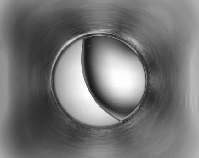 X0000094371324200711020745