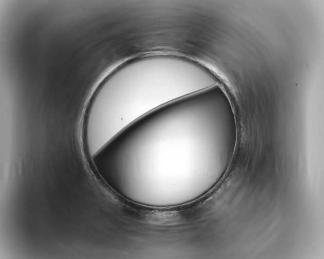 X0000094371325200711020745
