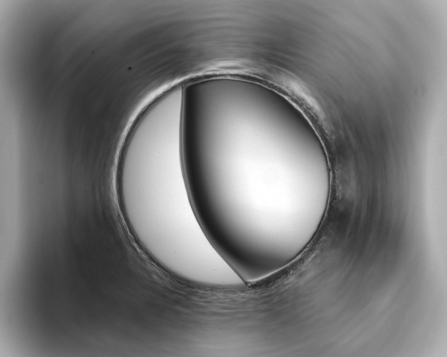 X0000094371328200711020745