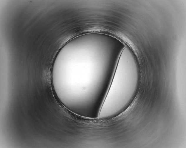 X0000094371329200711020745