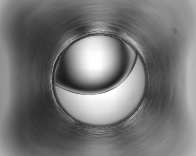 X0000094371330200711020745