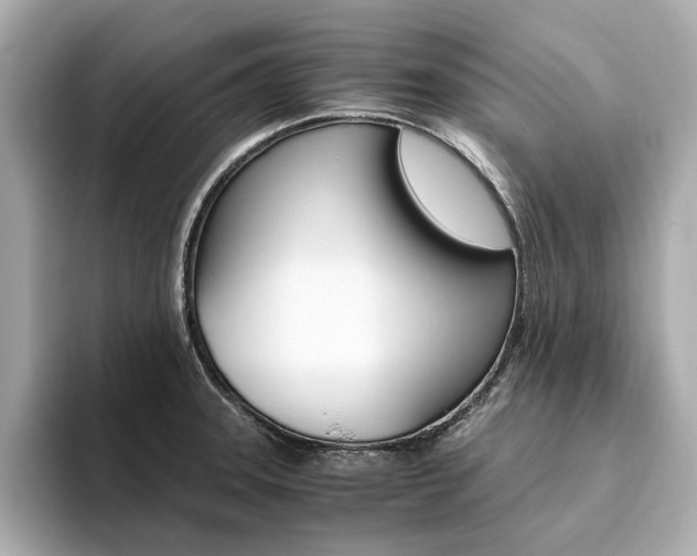 X0000094371331200711020745