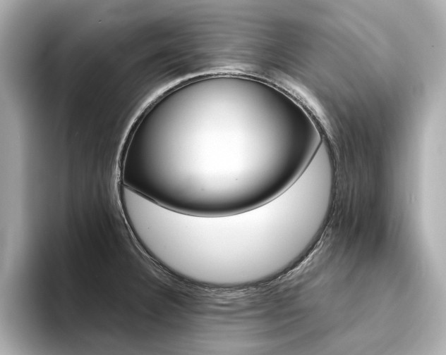 X0000094371332200711020745