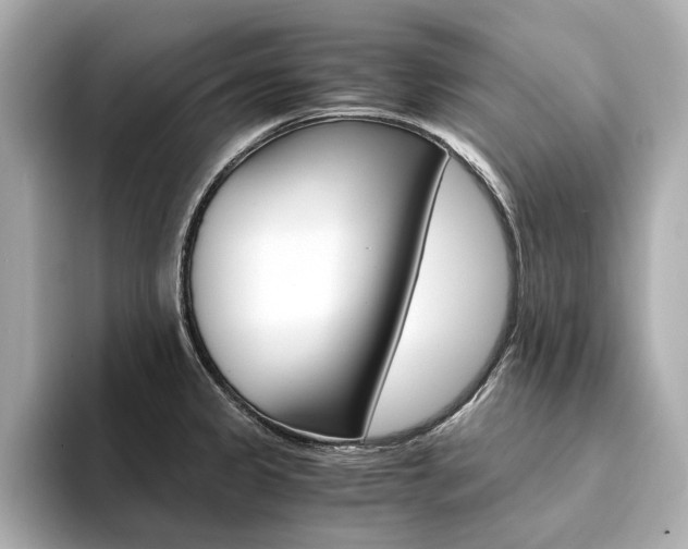 X0000094371333200711020745
