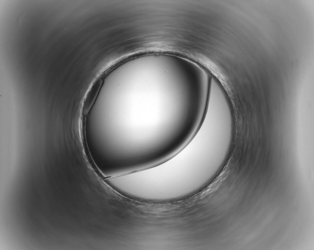 X0000094371334200711020745