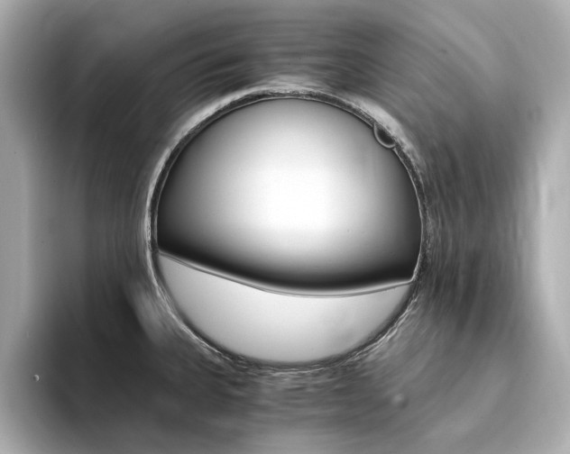 X0000094371335200711020745