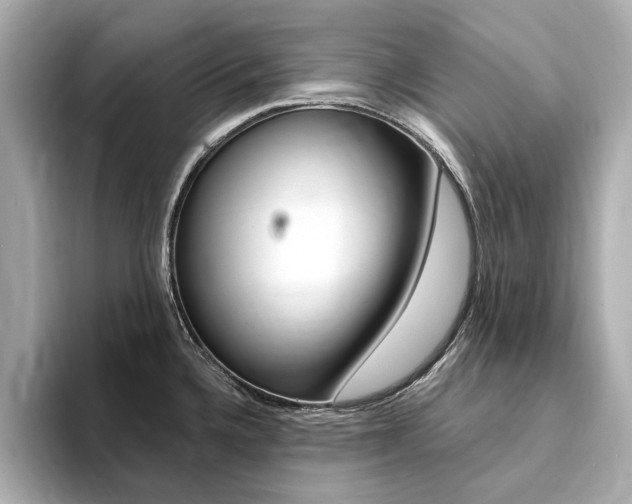 X0000094371336200711020745