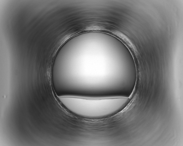 X0000094371337200711020745