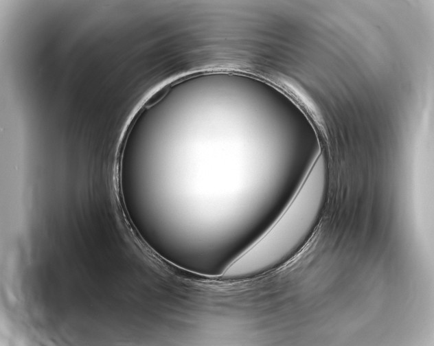 X0000094371340200711020746