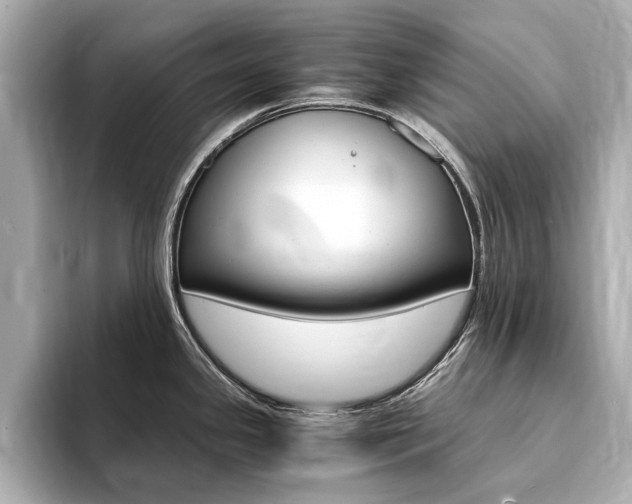 X0000094371341200711020746
