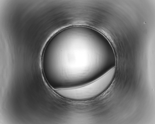 X0000094371342200711020746