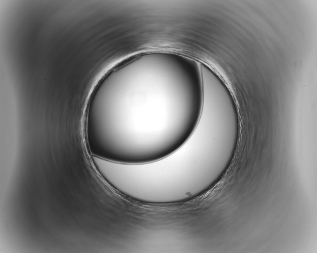 X0000094371344200711020746