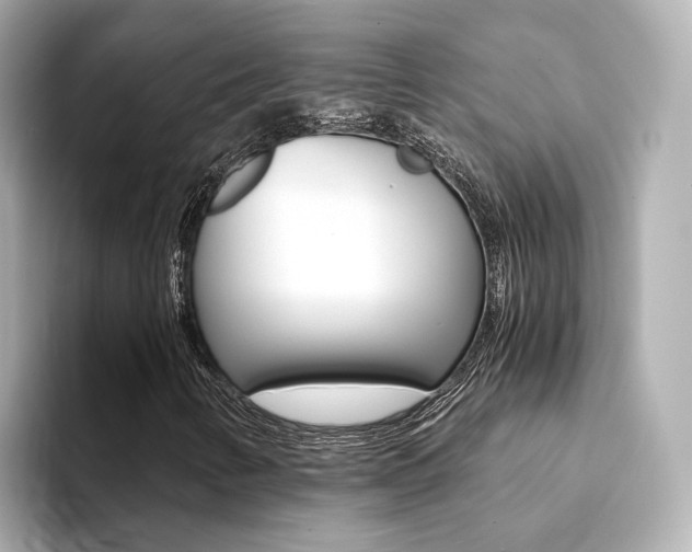 X0000094371346200711020745