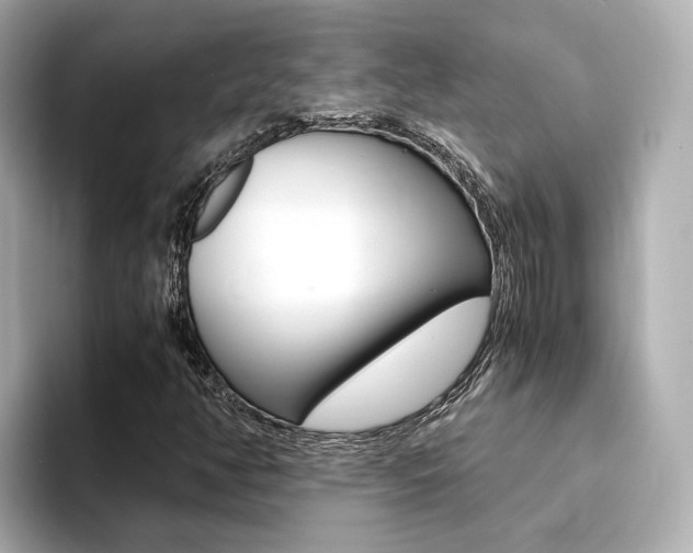 X0000094371350200711020745