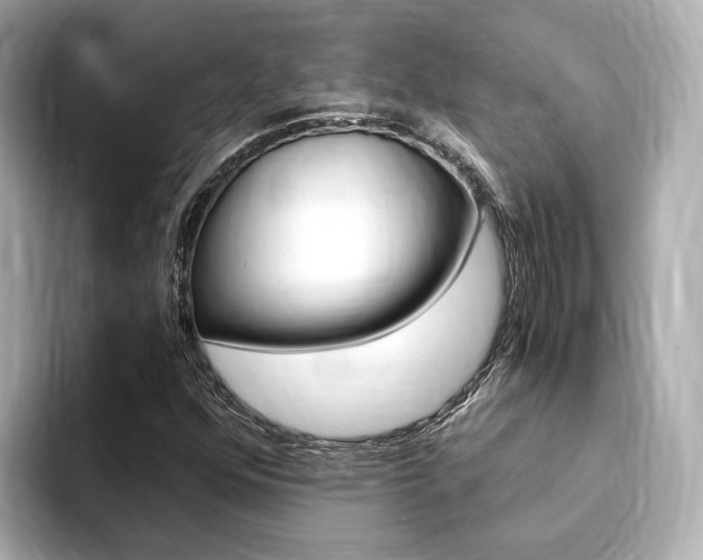 X0000094371352200711020745