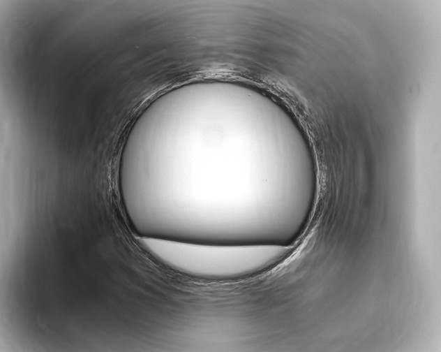 X0000094371353200711020745