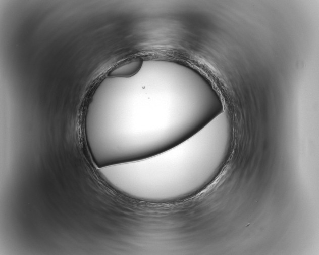 X0000094371354200711020745